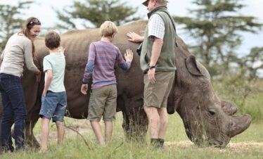 Ol pejeta Conservancy entrance fees