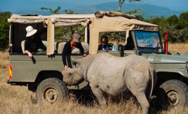 Ol Pejeta day trip from Nairobi