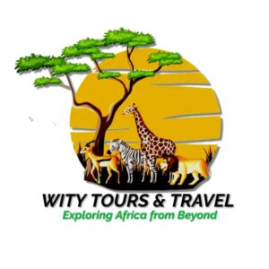 Wity Tours and Travel-Diani Beach Travel agents