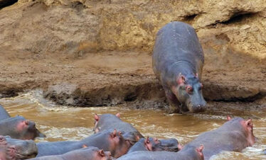 Nairobi Day Tour packages