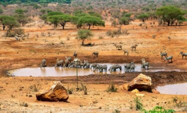 Tsavo West Safari Package