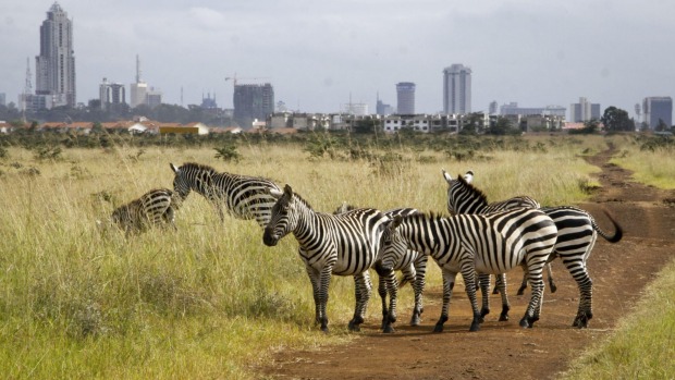 Nairobi day tours and safaris