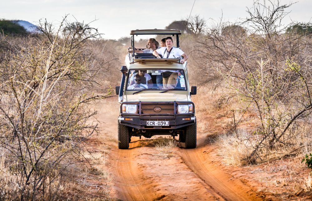 Kenya safari guide