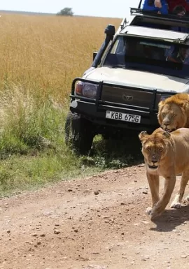 Affordable Kenya Safari Packages