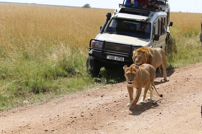 Affordable Kenya Safari Packages