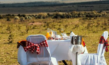 African safari tours