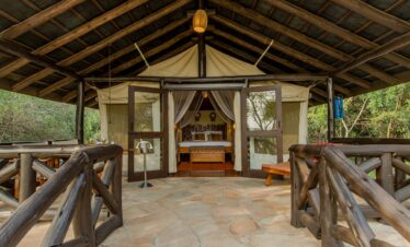 Masai Mara migration safari