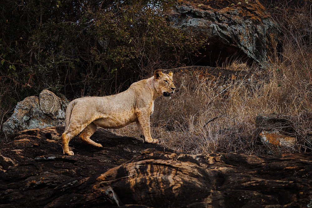 TAITA HILLS WILDLIFE SANCTUARY