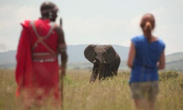 Kenya Safari tour package deals