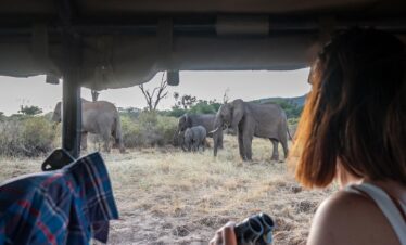 Private Kenya Safaris