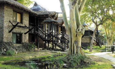 Kenya Safari Packages