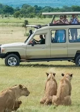 Luxury Kenya Safari packages