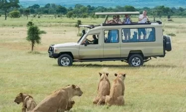 Luxury Kenya Safari packages