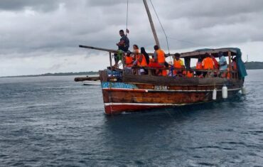 1 Day Pilli pipa dhow safari wasini island package