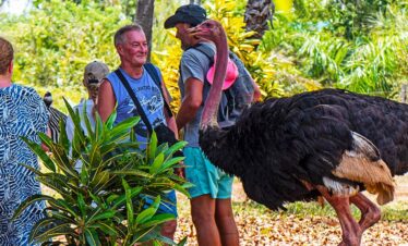 Bora bora wildlife park | Diani day tours
