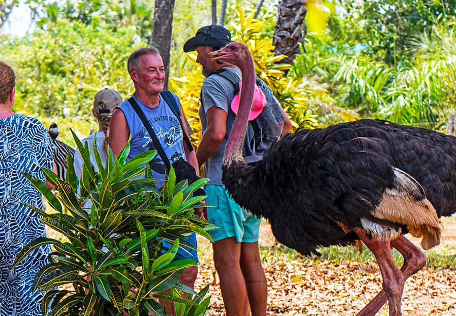 Bora bora wildlife park | Diani day tours