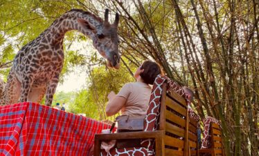 Bora bora Wildlife Park | Diani Day Tours