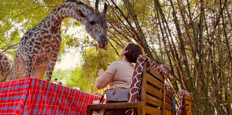 Bora bora Wildlife Park | Diani Day Tours