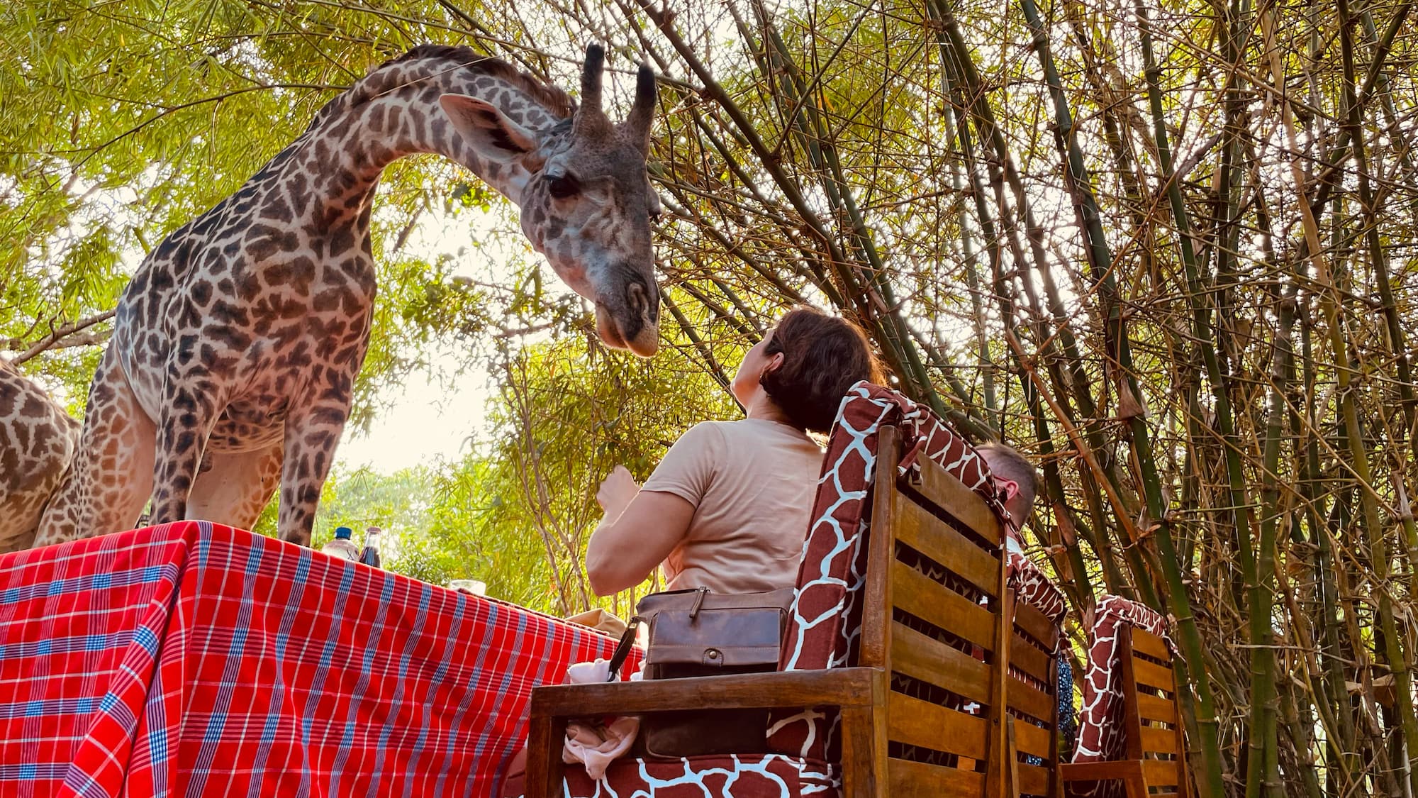 Bora bora Wildlife Park | Diani Day Tours