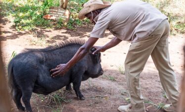 Diani Beach tours and holidays