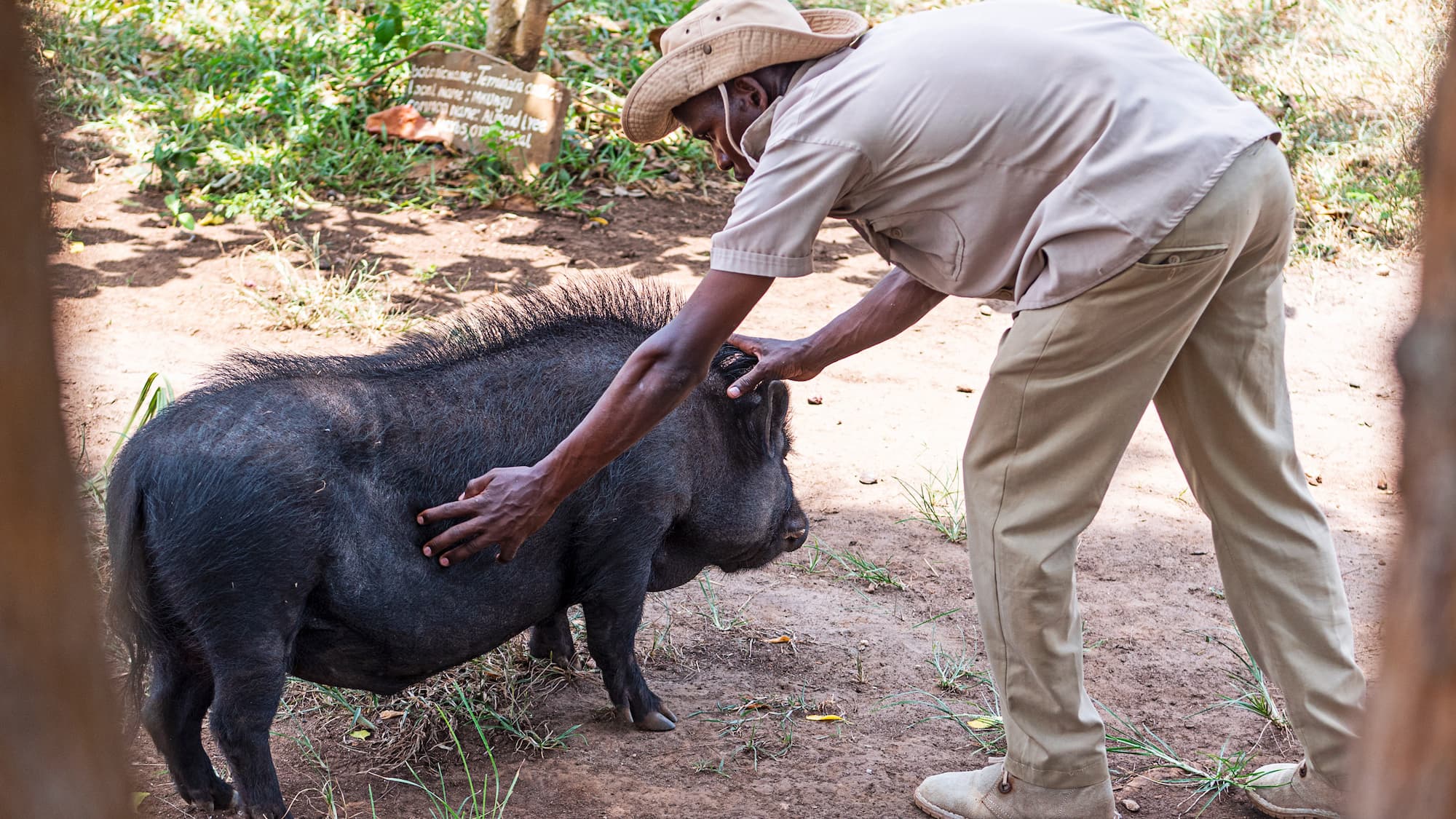 Diani Beach tours and holidays