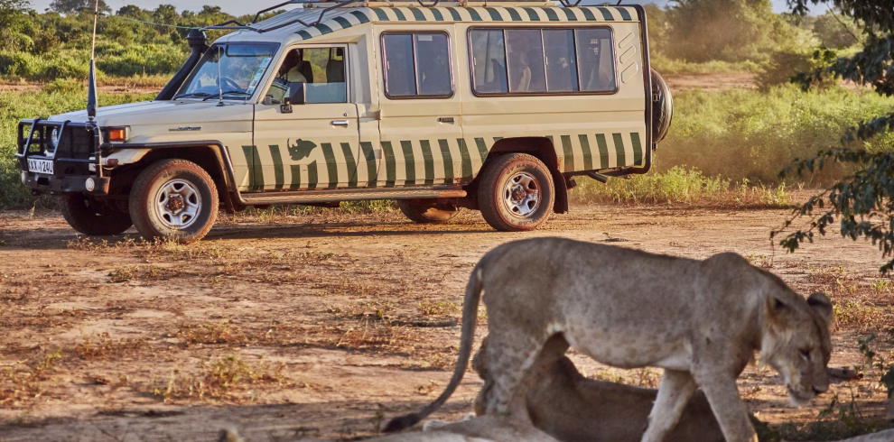 Safari vehicle viewing elephants near a waterhole at Ngutuni Wildlife Sanctuary during a 2-day safari from Diani Beach or Mombasa