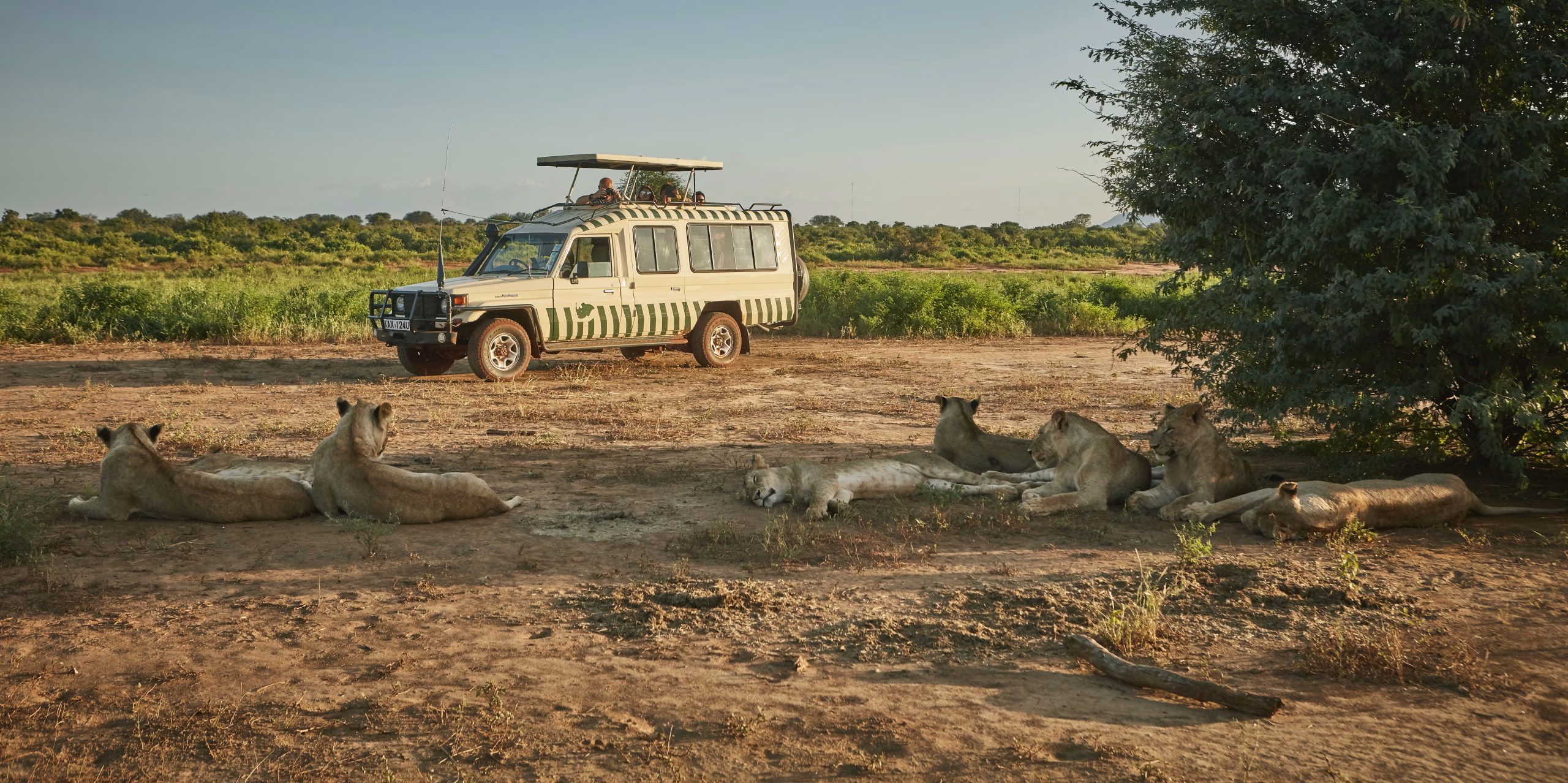 Safari vehicle driving through Ngutuni Wildlife Sanctuary during game drive