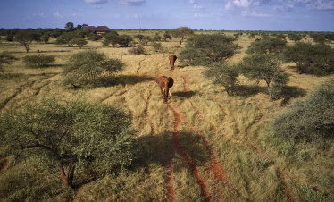 Ngutuni Safari from Diani Beach