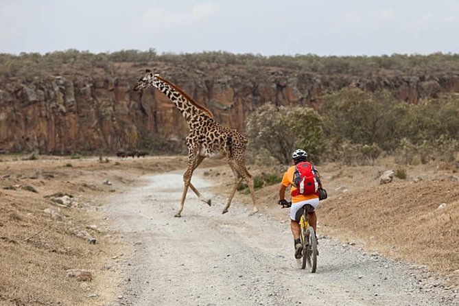 Kenya Day Tours and Safaris