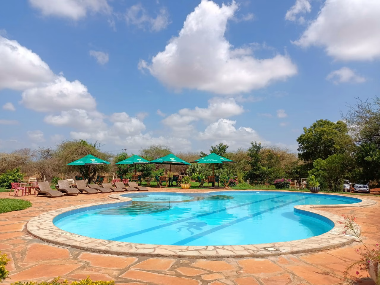 Kenya safari tours from Mombasa