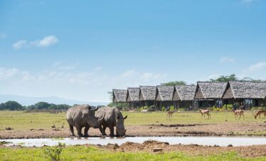 Ol pejeta safari from Nairobi