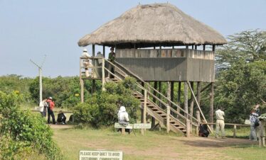 Safari Lodges and Camps in Ol Pejeta
