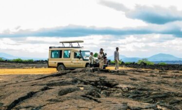 Diani Jeep Safari to Tsavo East, Amboseli, Tsavo West and Saltlick Ssafari