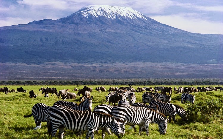 5 Days Diani Safari to Tsavo East, Amboseli, Tsavo West and Saltlick Safari