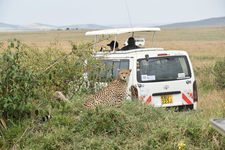 5 days tsavo east amboseli tsavo west saltlick safari