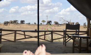 Mombasa Tsavo East family safari
