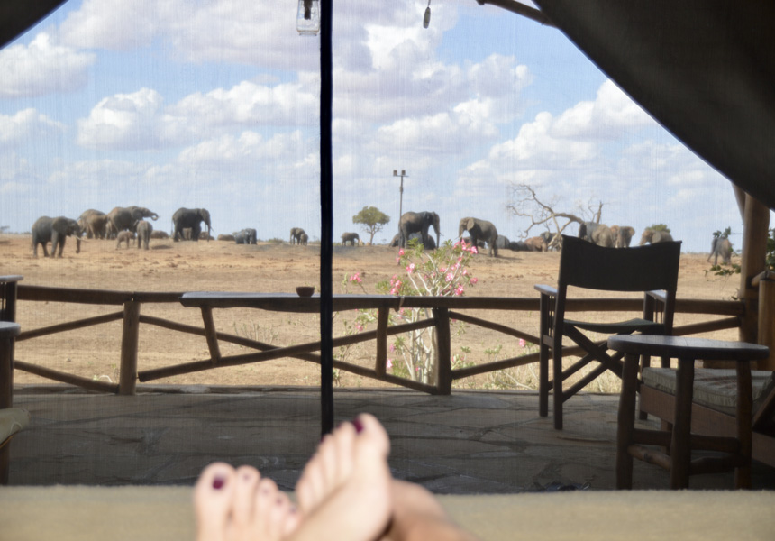 Mombasa Tsavo East family safari