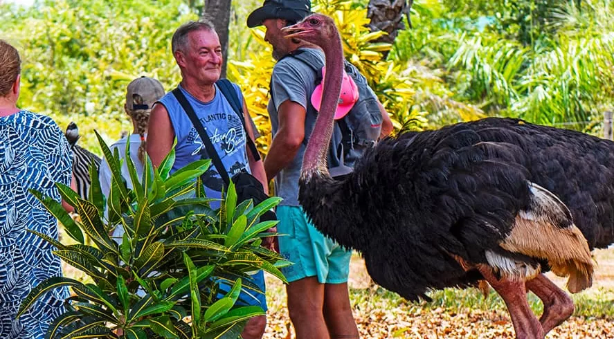 Bora Bora Wildlife Park Diani entrance fees