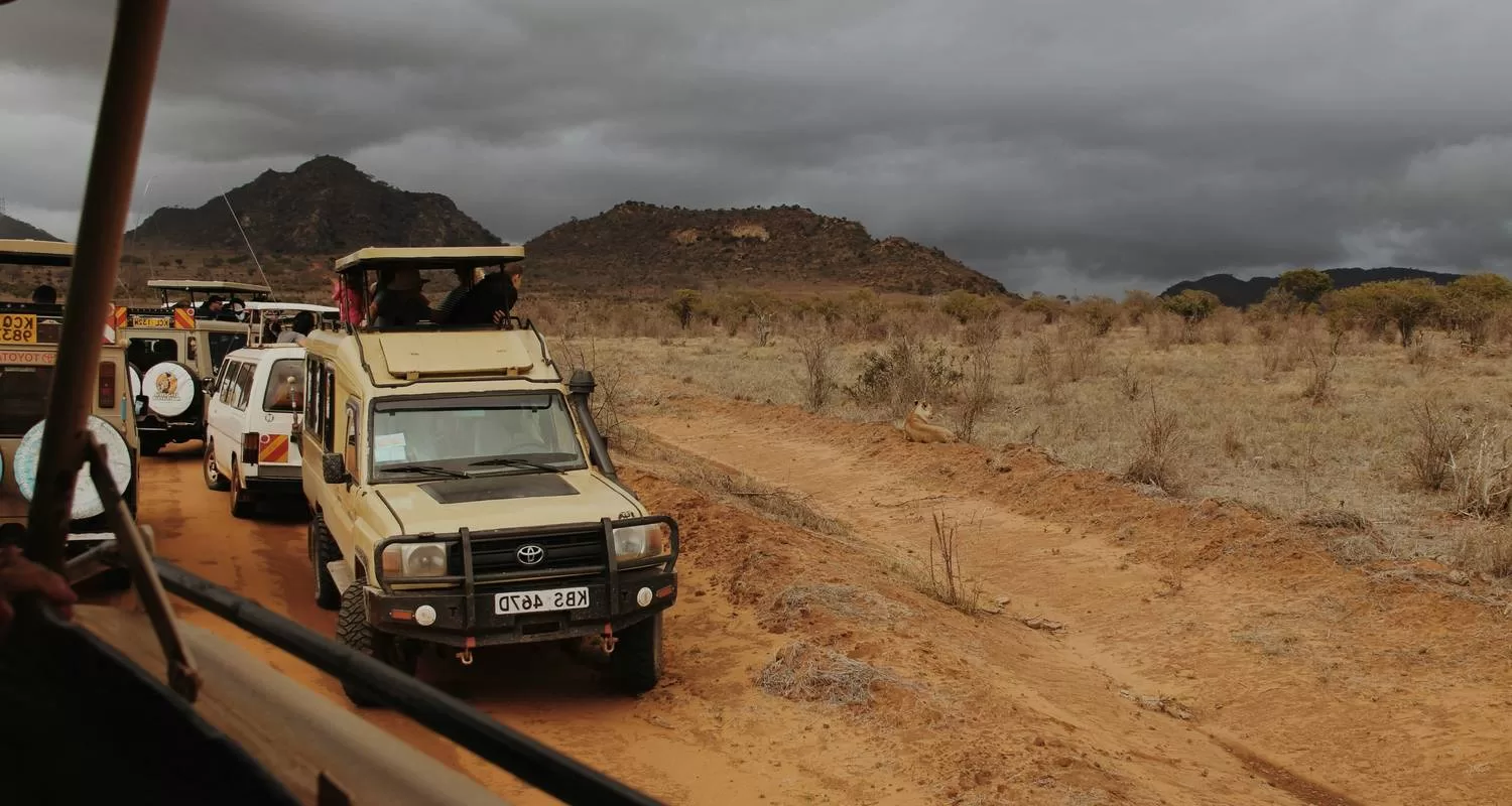 Best Kenya safari and beach trips