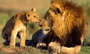 Kenya adventure and relaxation holidays