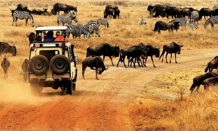 Masai Mara Safari and Beach holiday