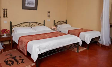 14-day Kenya safari and beach tour