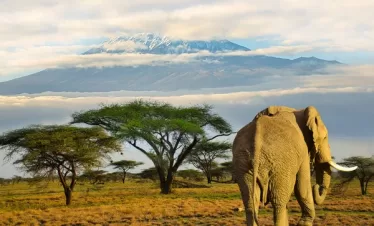 Kenya safari vacation with beach