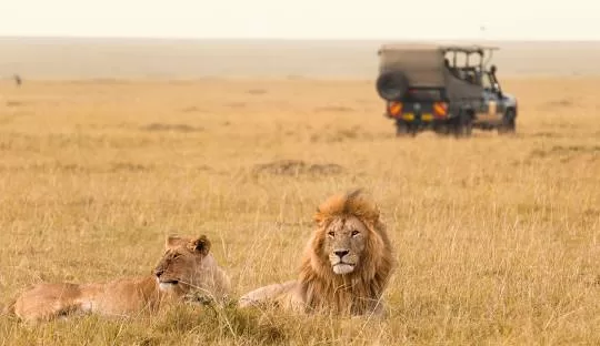 Masai Mara tours from Diani Beach