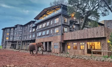 Weekend safari in Kenya