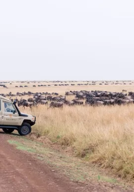 Kenya safari followed by beach relaxation