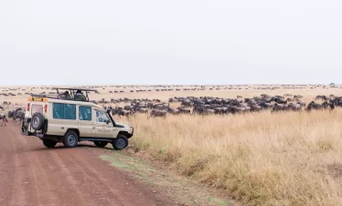 Kenya safari followed by beach relaxation