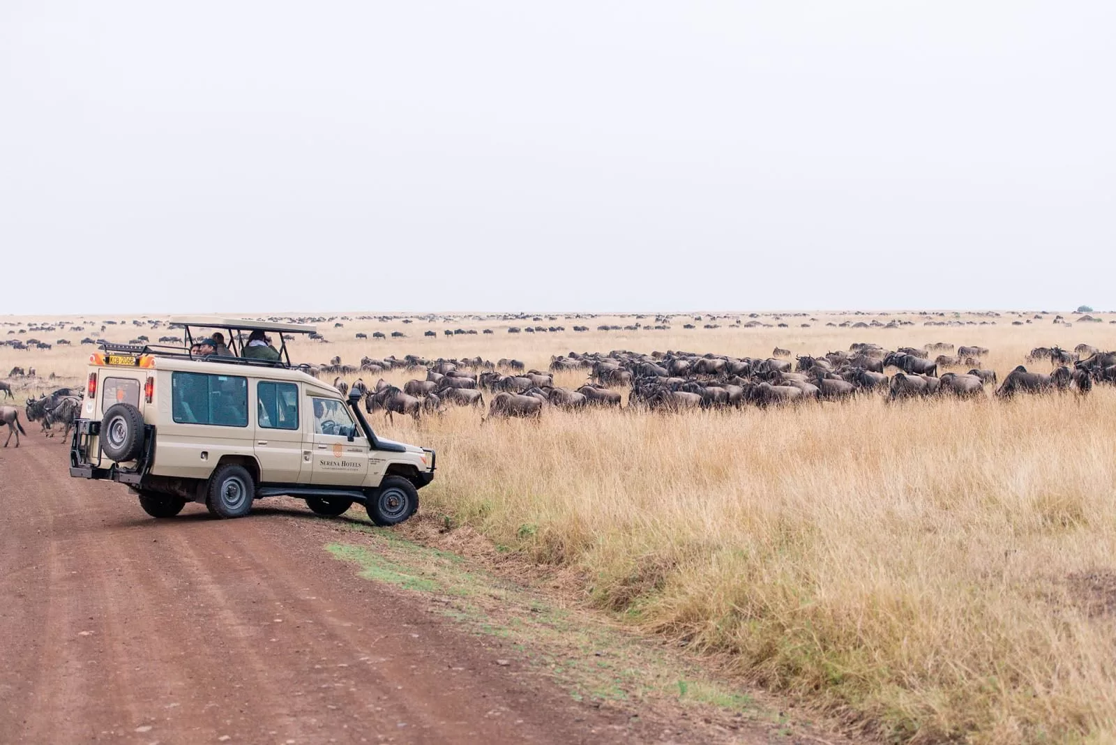 Kenya safari followed by beach relaxation