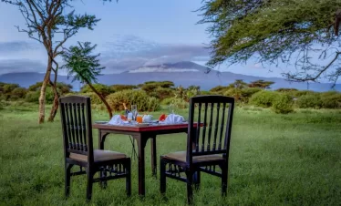 family safari in East Africa