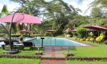 Kenya Tanzania Safari Tour Package
